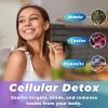 Zeolite Detox 240 Capsules Zeolite Capsules Sorbolit Ultra FINE 1-2 µm Zeolite Clinoptilolite Powder 95% 3X Activated Zeolite Supplement 4 Months Supp